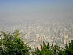 -兰山公园