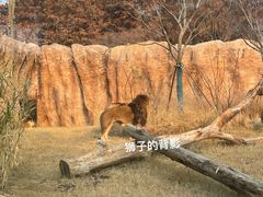 -武汉动物园