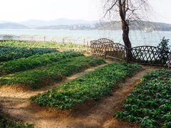 -天目湖山水园