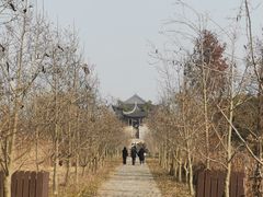 -广富林郊野公园