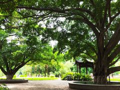 -广西大学(大学东路校区)