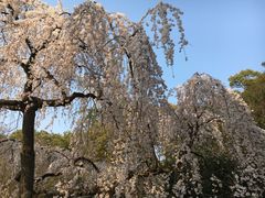 -京都御所