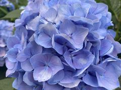 -漕溪路(地铁站)