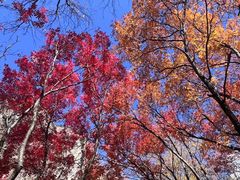 -叠溪松坪沟景区