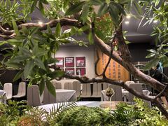 -峨嵋酒家(牡丹园店)