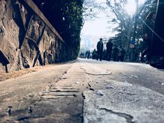 -武汉大学-樱园