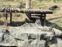 -宁波野生动物园