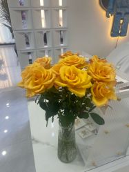 -V7 HAIR SALON