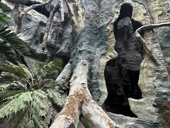 -长春中泰海洋世界