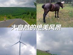 -草原天路(张北县)