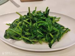 清炒豌豆尖-渝信川菜(工体店)