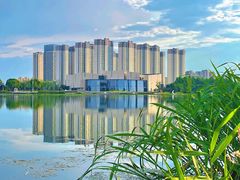 -澹台湖公园
