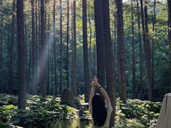 -洛阳白云山景区