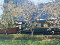 -新天地活力PARK