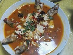-煲来饱去冷水鱼