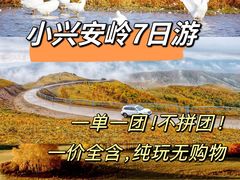 -汤旺河林海奇石景区
