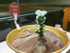 经典毛肚-巴奴毛肚火锅(永明路店)