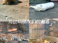 -南昌动物园