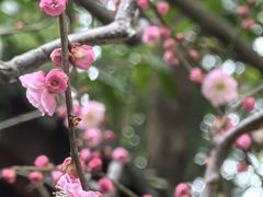 -成都杜甫草堂博物馆