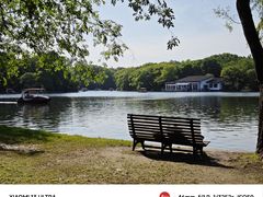 -上海共青森林公园