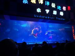 -泉城欧乐堡海洋极地世界