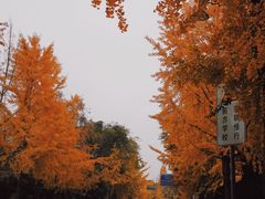 -四川博物院