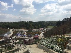 -绵阳盛世樱花悠乐谷