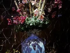 -足鹿中原养生连锁机构(缙云店)