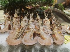 -欧记·龙城港(欣都店)