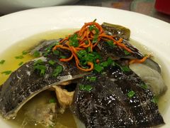 -碧丽宫大酒店(召稼楼店)