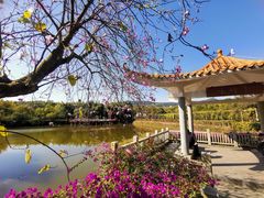 -大屏嶂森林公园