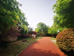 -杭州城北体育公园