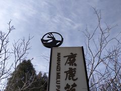 -北京麋鹿生态实验中心