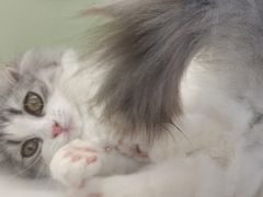 -北京清河万象汇