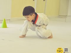 -勇气斑马·巴西柔术&跆拳道(浦东三林店)