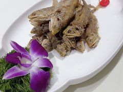-金米箩大酒店(五角场店)