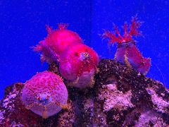 -上海海洋水族馆