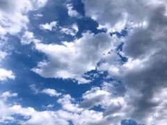 -皇家御河游(紫御湾码头)