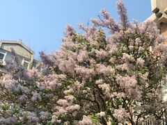 -麦当劳(展览路店)