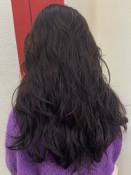 -IP SALON