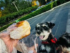 -红星前进面包牛奶公司(五道口购物中心店)