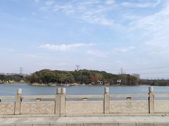 -昆山城市生态森林公园