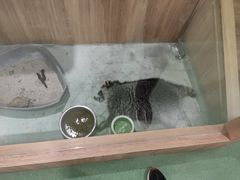 -藦茜花园宠物主题亲子互动体验馆(国顺东路店)