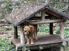 -杭州动物园
