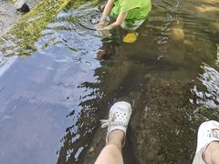 -重庆彩云湖湿地公园