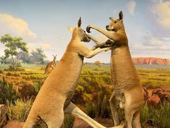 -陕西自然博物馆