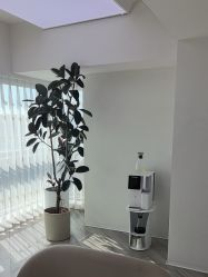 -HEYAN荷妍专业脱毛连锁机构