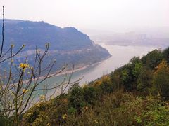 -铁山坪森林公园