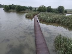 -盐城丹顶鹤湿地生态旅游区