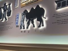 -舌尖尖·兰州牛肉面(浦东机场店)